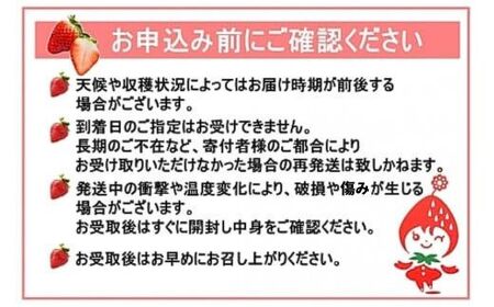 No.1410-2 Noguchi Farm のおいしいイチゴ 約700g