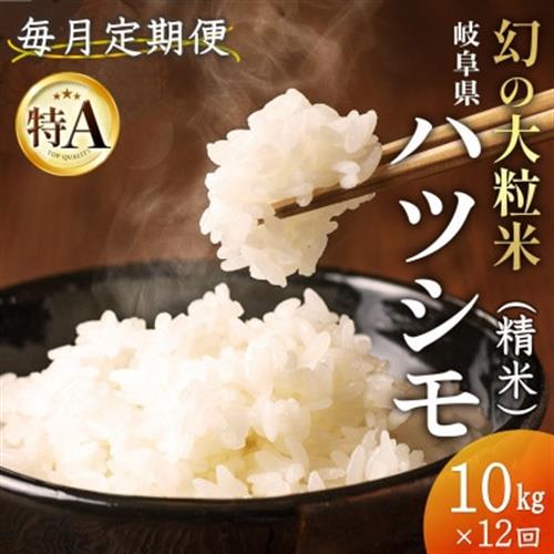 【毎月定期便】岐阜県産ハツシモ(精米) 10kg全12回【配送不可地域：離島】【4076391】