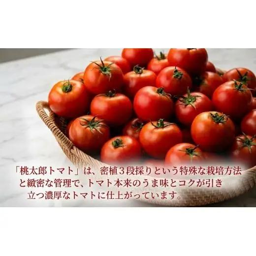 トマトジュース 谷川農園 桃太郎トマトジュース 180ml×6本《無添加》 北海道 安平町【1339511】