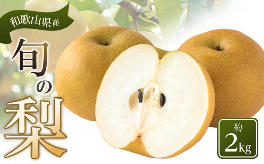 
            和歌山県産 旬の梨 約2kg［2025年8月中旬以降順次発送］［MG17］
          