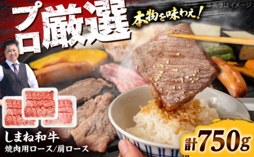焼肉の定番！しまね和牛焼肉用ロース/肩ロース750g(各250g×1P＋おまかせ1P)  肉 にく お肉 おにく 和牛 牛肉 ぎゅうにく 牛肉750g 国産 国産牛 ブランド牛 赤身 焼肉 焼肉用 やきにく ロース 肩ロース 肉3パック 人気 黒毛和牛 しまね和牛 島根和牛 島根 おすすめ 美味しい 詰め合わせ お試し 食べ比べ ロース2種 島根県雲南市/株式会社O.R.C [AIEF012]