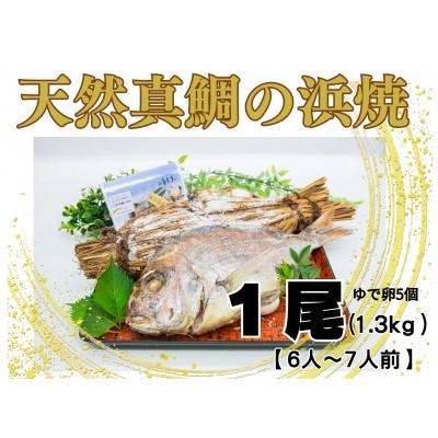 ふるさと納税 坂出市 天然真鯛の浜焼1尾(6〜7人前)
