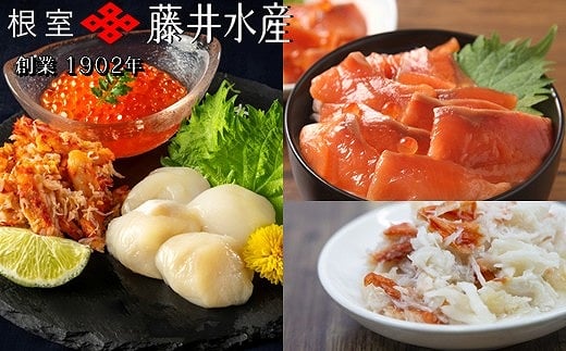 
            F-42019 【北海道根室産】海鮮5種詰合せ(いくら、たらばがに、花咲がに、ほたて、サーモン)
          