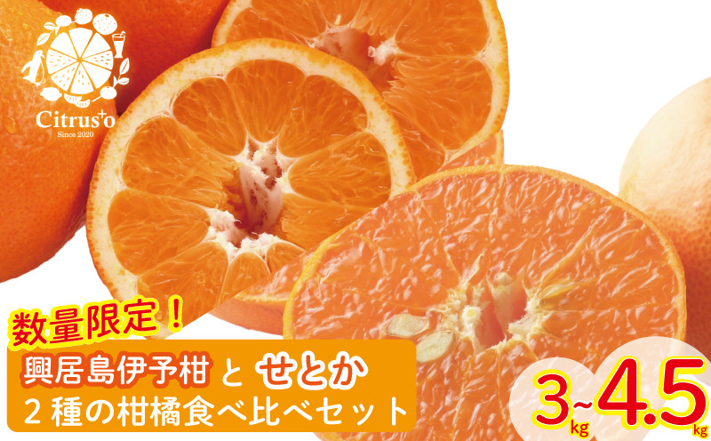 
【先行予約・2025年2月上旬から発送】興居島伊予柑とせとか 2種の柑橘食べ比べセット 優品以上 みかん 柑橘 みかん フルーツ みかん 食べ比べ ミカン みかん 蜜柑 柑橘 果物 くだもの フルーツ グルメ 愛媛県 松山市
