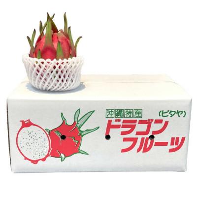 ふるさと納税 国頭村 【2026年8月から順次発送】やんばる産のドラゴンフルーツ赤 4〜6玉 |  | 02