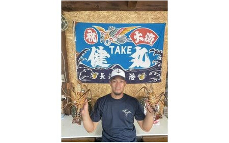 【 伊勢海老 】 活き〆冷凍伊勢海老 1kg