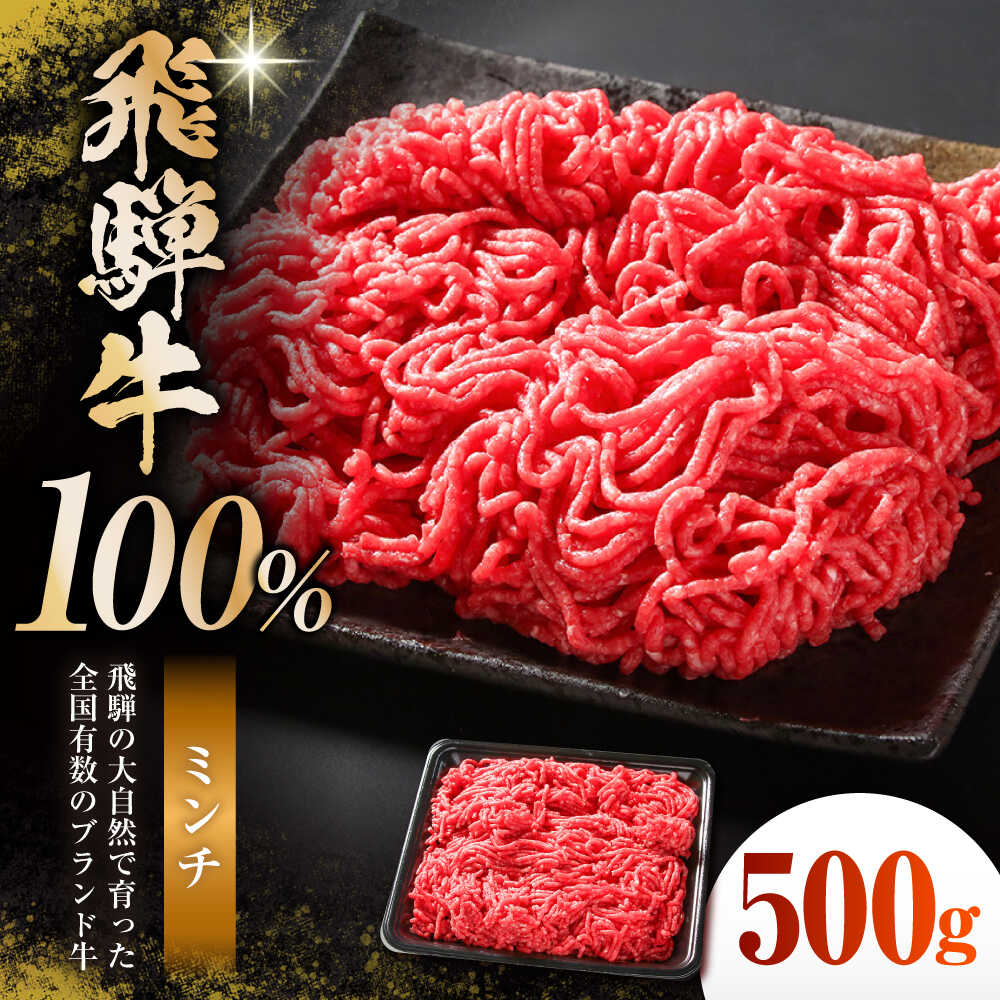 【ふるさと納税】飛騨牛 100％ ミンチ 500g 多治見市 / 飛騨高山ミート MZ039 冷凍 真空パック ブランド和牛[THP030]