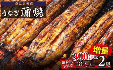 鹿児島県大隅産 うなぎ 備長炭手焼蒲焼２尾(合計300g以上）｜うなぎ