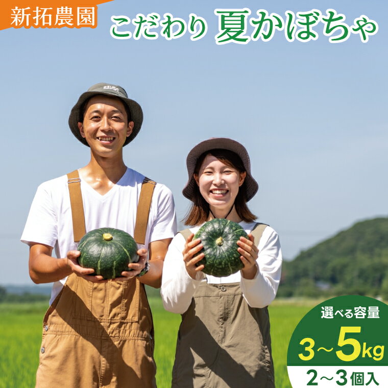 【ふるさと納税】＼先行予約 数量限定／新拓農園のこだわり 夏かぼちゃ 2～3個入り 選べる セット S/M/L【かぼちゃ 野菜 やさい カボチャ ほくほく 甘い おいしい パンプキン 国産 産地直送 期間限定 季節限定 茨城県 鹿嶋市】
