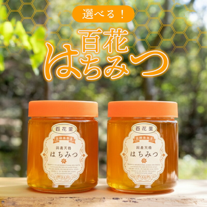 【ふるさと納税】純粋天然 百花はちみつ
