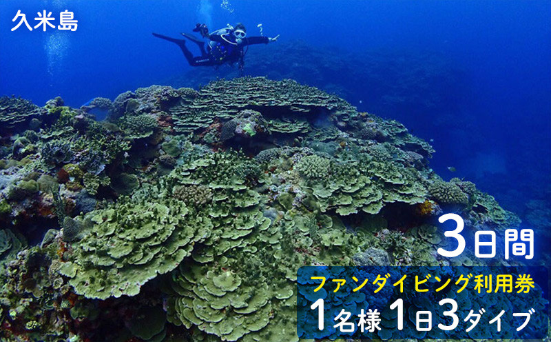 
                  久米島ファンダイビング利用券1名様　1日3ダイブ×3日間 ダイビング ファンダイブ ダイビングスポット ダイバー ウミガメ マンタ 熱帯魚 サンゴ礁 マリン アクティビティ 水中 潜水 ライセンス バディ 潜る 沖縄 久米島 海 那覇 スキューバ
                