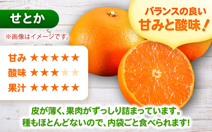 【みかん農家直送 ストレートジュース】そのまんま せとかジュース 720ml×2本 / みかんジュース 農家直送 ストレートジュース / 佐賀県 / 山本農園 [41ATBT016]
