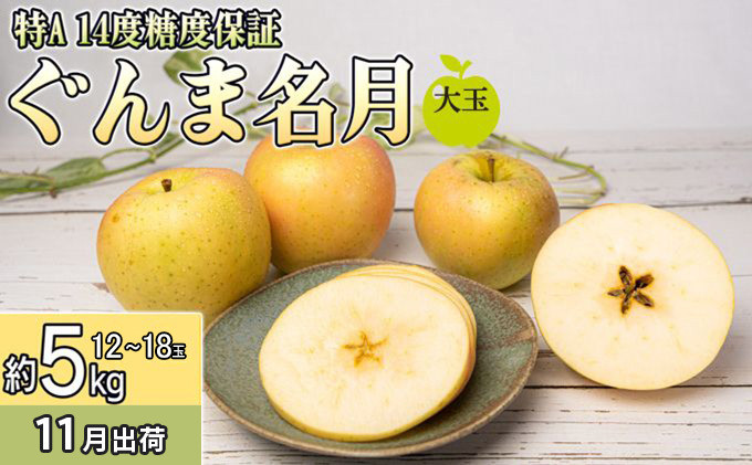
            11月 特A ぐんま名月約5kg（12～18個）14度糖度保証【青森りんご・ゆうきアップル・11月】 果物類 フルーツ 果物 
          