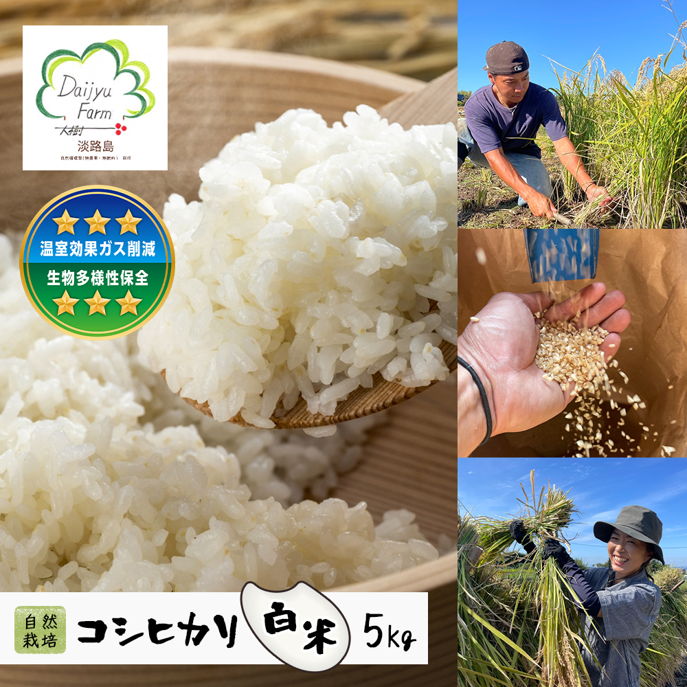 自然栽培　コシヒカリ（白米）　5kg