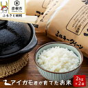 【ふるさと納税】【令和6年産】有機JAS認証「アイガモ君が育てたお米」ミルキークイーン　2kg×2【フクハラファーム】 | 精米 白米 新米 こだわり 近江米 送料無料 ブランド米