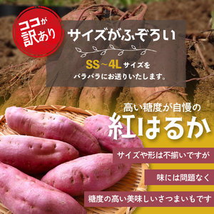 ≪訳あり≫ 栽培期間中農薬使用 サツマイモ 5kg 紅はるか  さつまいも サツマイモ ワケアリ わけありさつまいも詰め合わせ 芋 いも 三重県 多気町 GE‐01