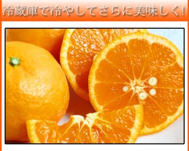 初夏のみかん　なつみ3kg　※2027年4月中旬頃?2027年4月末頃順次発送（お届け日指定不可） / 果物 くだもの フルーツ 柑橘 オレンジ みかん ミカン 有田みかん 【uot753A】