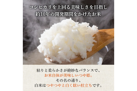 米 令和7年産 つや姫 10kg 特別栽培米 精米