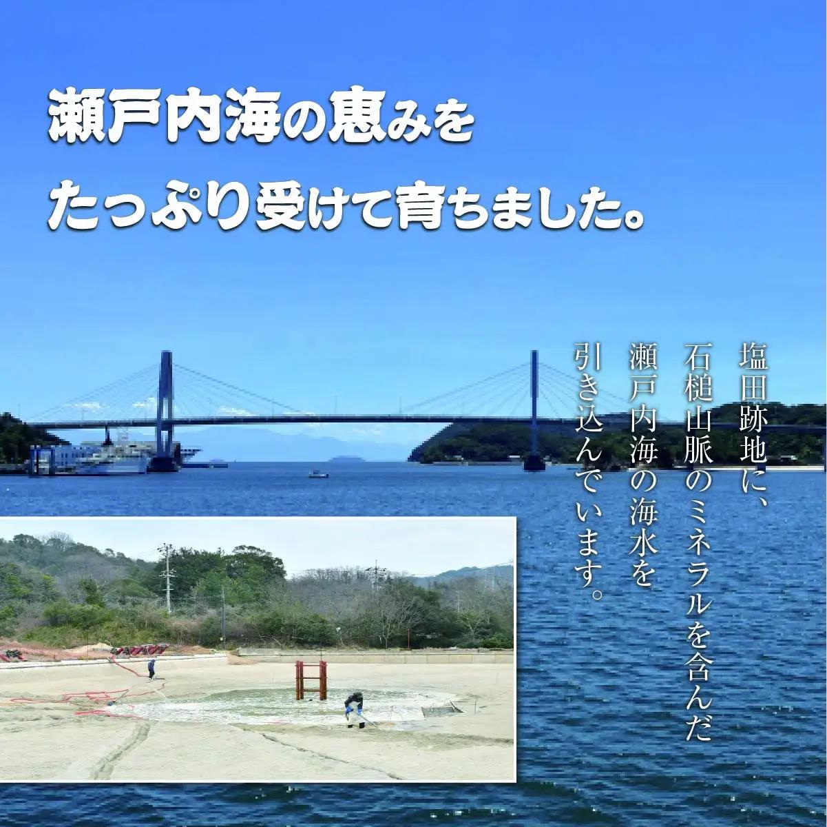 車海老 急速冷凍 活きな 車えび【無頭8～10尾(約140g)×2袋セット】【配送不可地域：離島】