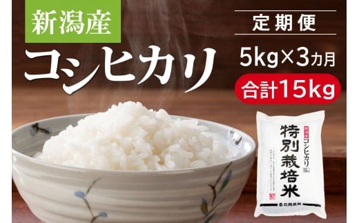 
            【定期便3カ月】 特別栽培米 新潟産コシヒカリ 5kg×3回（計15kg）令和7年産 
          