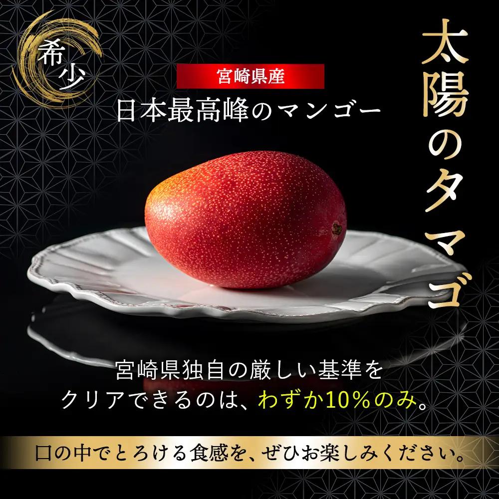 完熟マンゴー『太陽のタマゴ』３玉（約１kg）【JA綾町】_A0114-1011