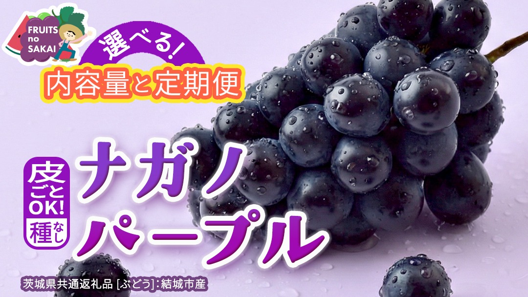 ＼選べる内容量・定期便／ ナガノパープル 約1.3kg ～ 5kg （約2房～12房）　単品（1回）・定期便（3か月連続）【2026年8月より発送開始】（茨城県共通返礼品 [ぶどう]：結城市産） ぶどう ブドウ 葡萄 ナガノパープル 種なし 皮ごと 高級 国産 黒ぶどう 旬 お取り寄せ フルーツ 希少品種 デザート