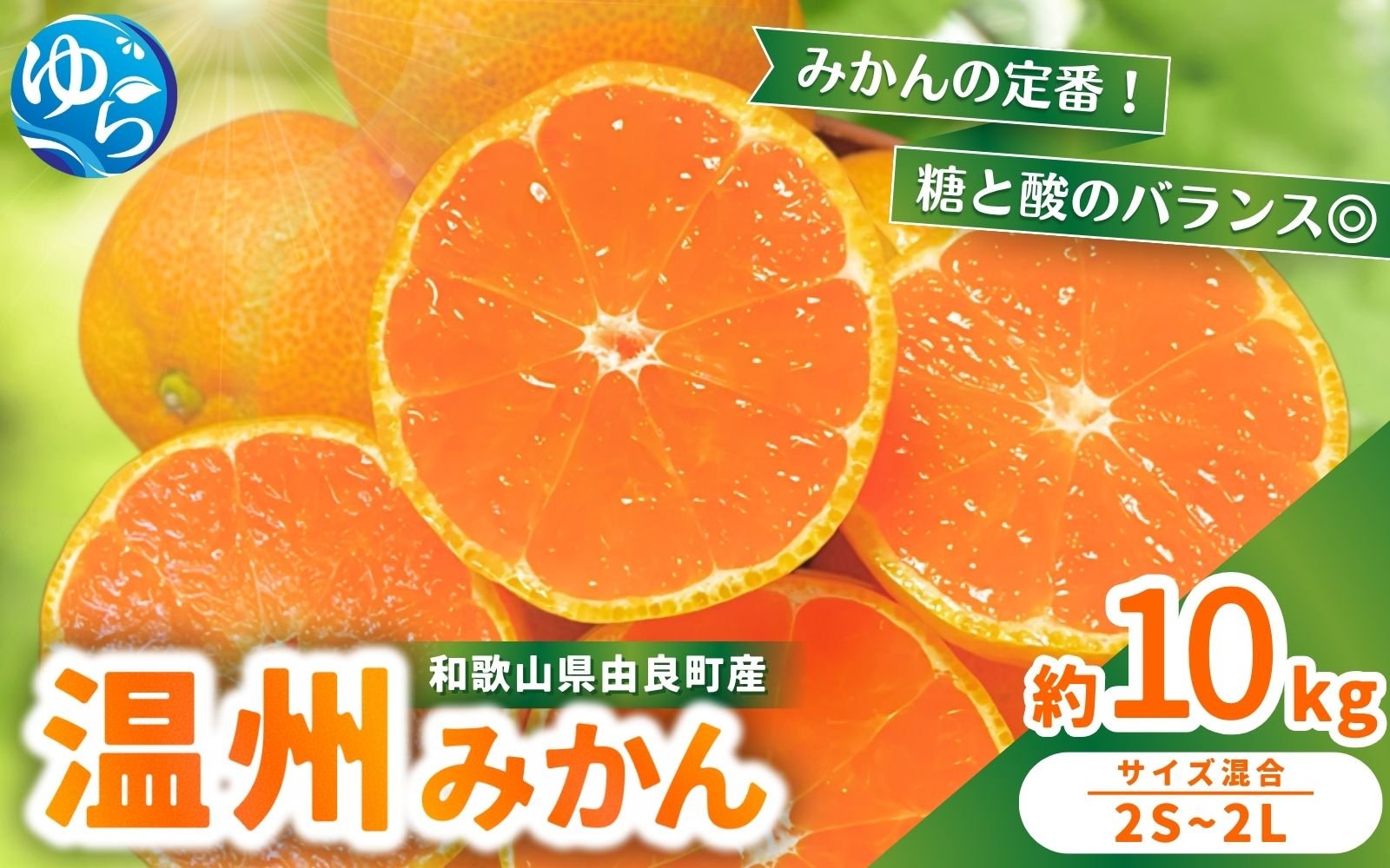 
            【先行予約】農家直送 和歌山県由良町産 温州みかん 約10kg 2S～2Lサイズ混合 ※2025年11月中旬頃～2025年12月中旬頃に順次発送 / 農家直送 くだもの  果実  柑橘 果物 フルーツ 国産 和歌山県 由良町 ご家庭用 人気 おすすめ【nktn011-sp】
          