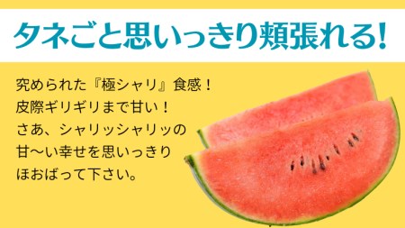 【2024年5月中旬から発送開始】こだますいか ピノガール 4～5玉 すいか 小玉すいか 小玉 スイカ 果物 フルーツ [BQ017sa]