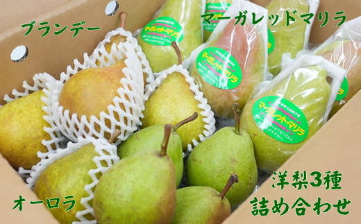 7-014-014 山口さんちの洋梨 3種詰め合わせ 5kg【9月下旬~発