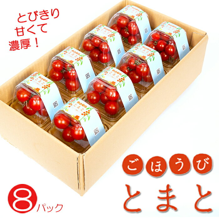 【ふるさと納税】 “予約受付” トマト 高糖度 甘い 8パック 小分け フルーツトマト ミニトマト 野菜 果物 産地直送 とれたて 濃厚 アンチエイジング 生活習慣病予防 ごほうびとまと 株式会社風の子ファーム 埼玉県 羽生市