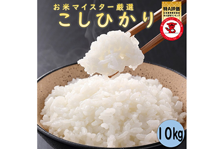 新米 令和6年産 千葉県産ｺｼﾋｶﾘ10kg(5kg×2) 米 米 根本商店