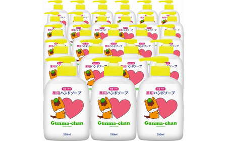 ぐんまちゃん薬用ハンドソープ本体(250ml)×24個入り