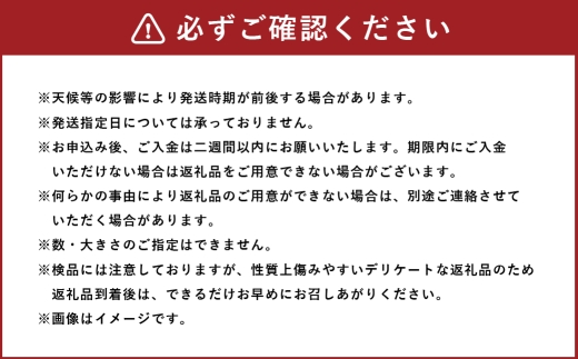 【 訳あり 】 とろける甘さ！ 会津身知らず柿 L～3L 12個～20個 たっぷりご家庭用 柿 果物 フルーツ デザート 大玉 渋抜き 甘み 滑らか 果汁 とろとろ 【 2026年11月下旬から12月