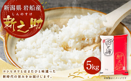 【令和7年産米】新潟県村上市 岩船産 新之助 5kg 1013002 