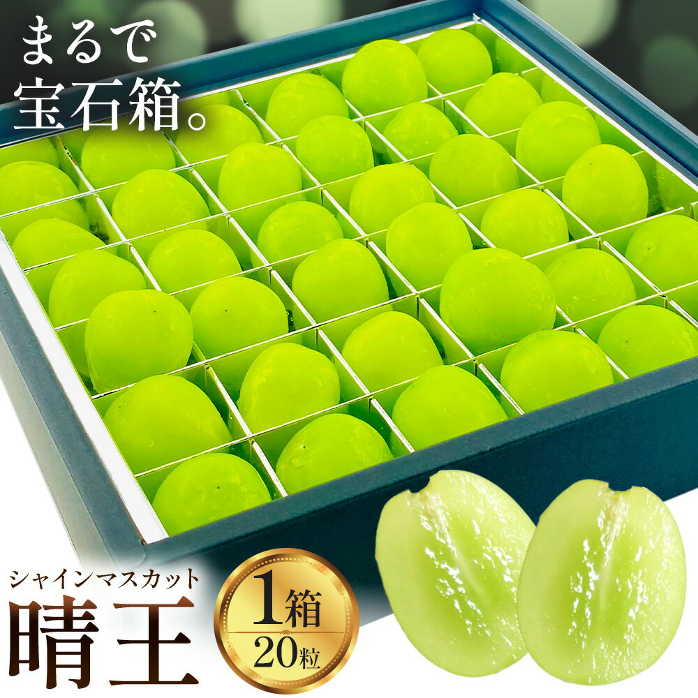 【2026年発送先行予約】【ふるさと納税】シャインマスカット 晴王 20粒 シャイン マスカット《2026年9月中旬-10月中旬頃出荷予定》晴レ乃青果　(岡山中央卸売市場店(富士紙工 有限会社)) 送料無料 岡山県 浅口市 フルーツ 果物 国産 岡山県産 贈答用 【配送不可地域あり】