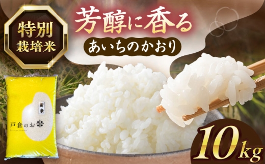 【10kg／9月発送】 あいちのかおり 白米 10kg お米 ご飯 米 お米 10kg 10キロ 白米 精米 コメ ご飯 ごはん 愛知県産 国産 県産米 国産米 あいちのかおり 産地直送 令和7年 愛西市 / 株式会社戸倉トラクター [AECS002-09]