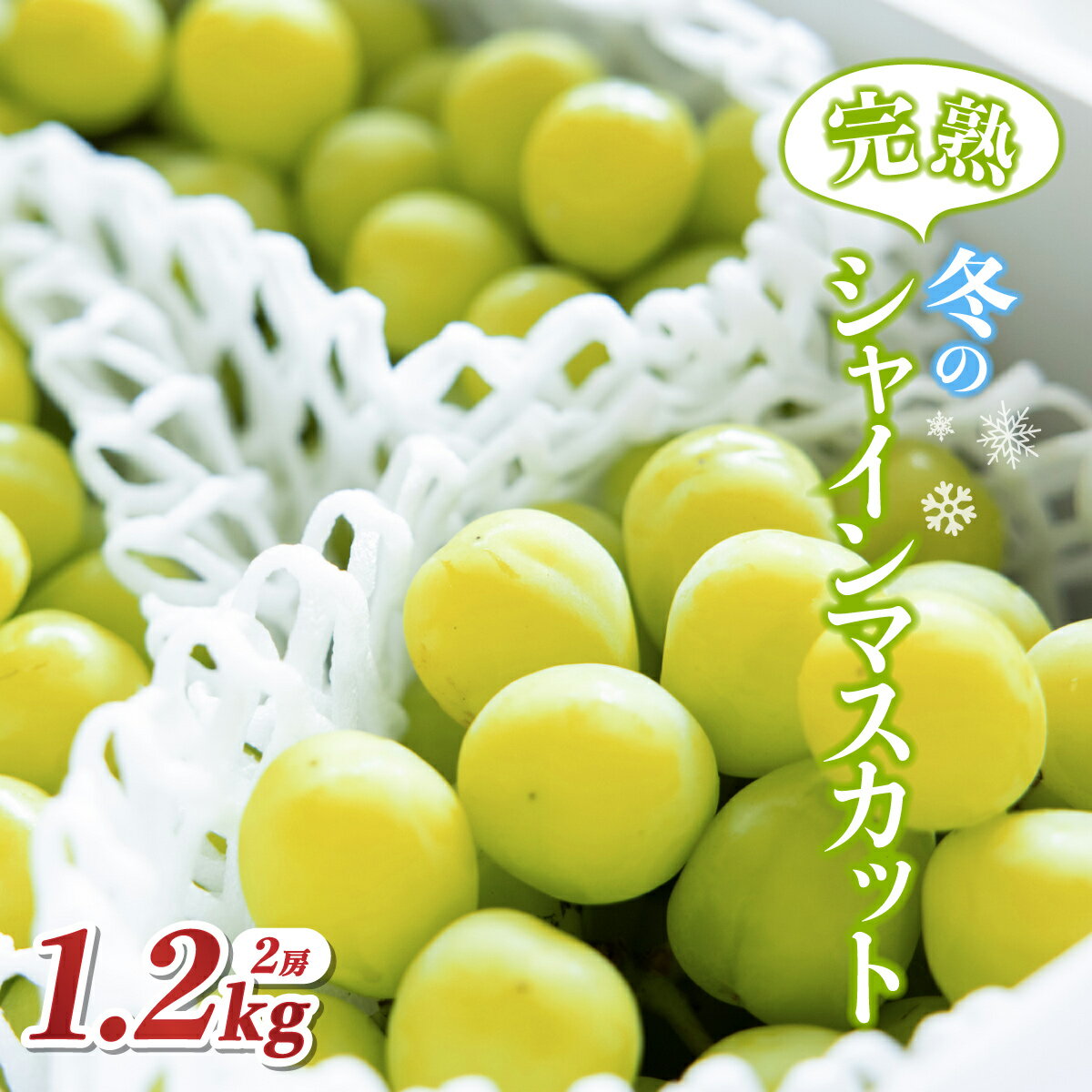 【ふるさと納税】【クリスマスまでの限定発送】 シャインマスカット 訳あり 2〜4房 1.2kg [tk06ayt230002 山形県 高畠町 田制農園] ぶどう ブドウ 葡萄 マスカット フルーツ 果物 くだもの 産地直送 農家直送