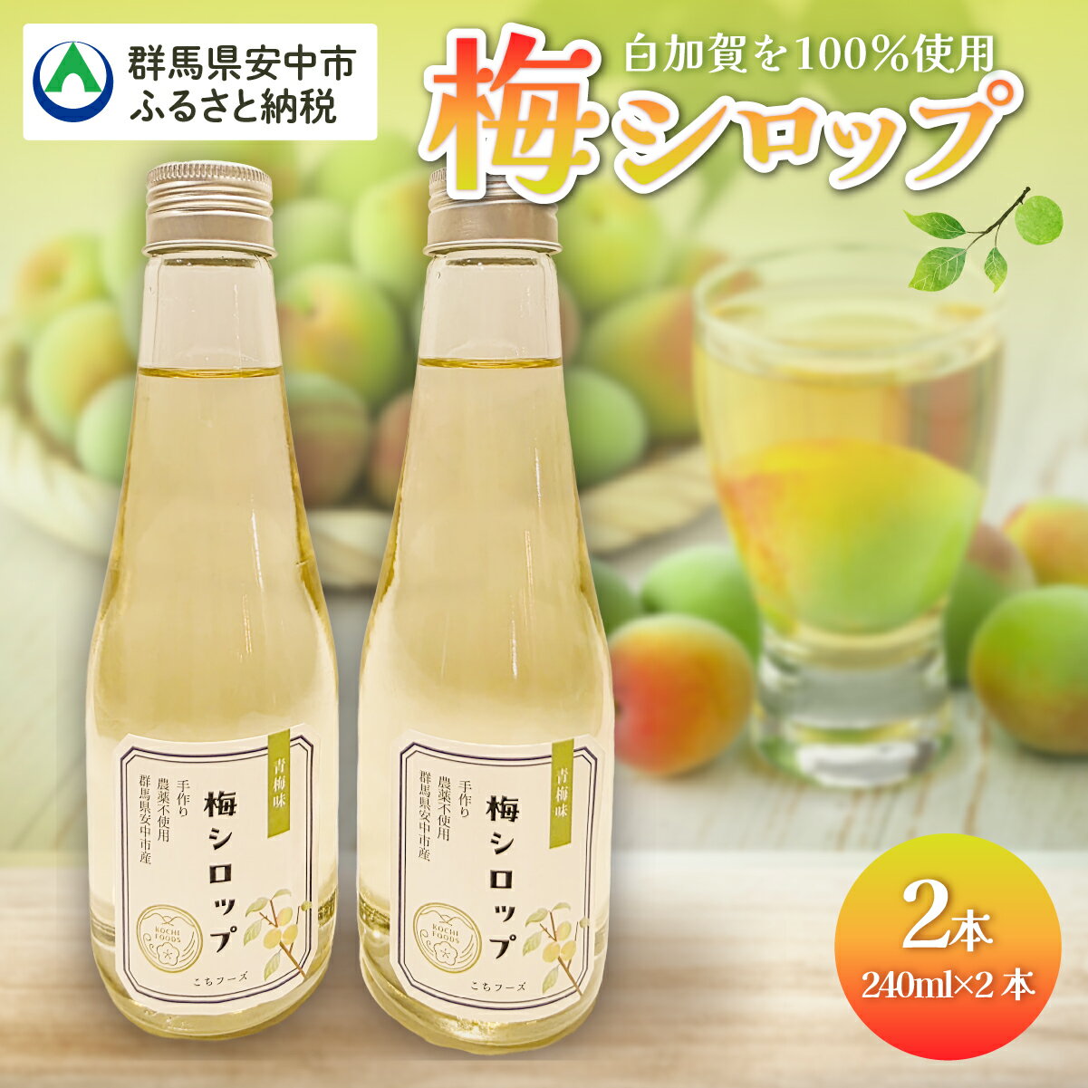 【ふるさと納税】梅シロップ 送料無料 群馬県 安中市 ANBN001