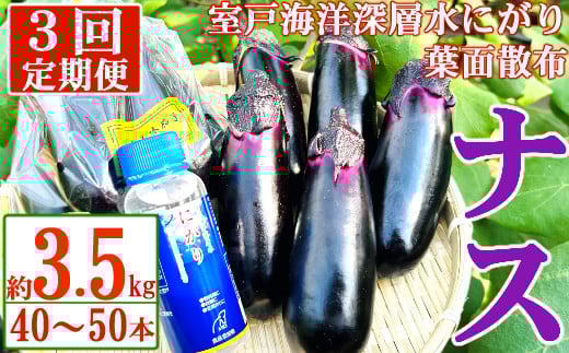 
            【定期便3回発送】農家直送　土佐の美味茄子の新鮮ナス　３．５kg　（室戸海洋深層水にがり使用） 野菜 なす ナス 常温 小袋 国産 夏野菜 茄子 小分け 旬  高知 頒布会
          