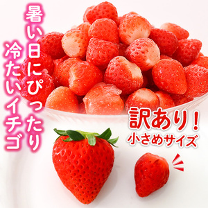 No.362 ＜訳あり・小粒＞ころころサイズの冷凍いちご(計約2.55kg・850g×3袋) 訳あり 訳アリ いちご イチゴ 苺 冷凍 果物 フルーツ 国産 九州産 鹿児島県産 減農薬 アイス 不揃い