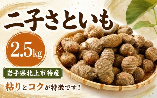 
                  【予約受付/10月下旬発送開始予定】北上産 二子 さといも セット Ｌサイズ+小ぶりのいも（ズボいも）計2.5kg  産直から発送 特産品 新鮮野菜 国産 季節 産地直送 贈り物 贈答 岩手県 北上市 D0163
                