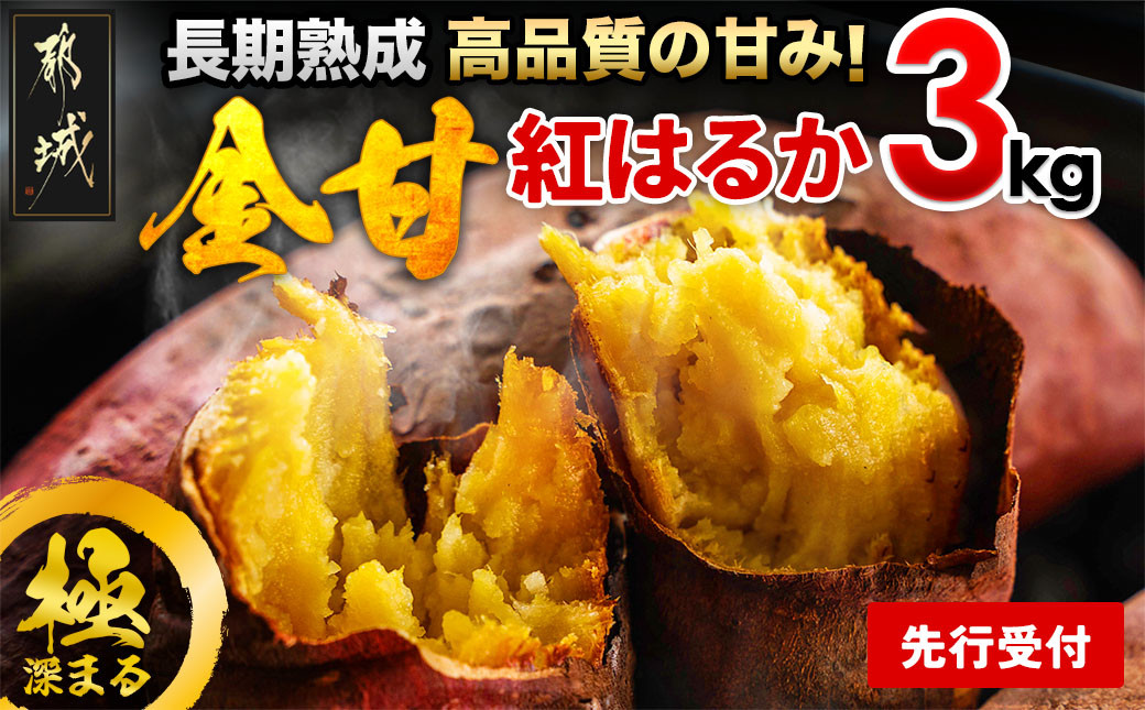 
            【先行受付】都城産 長期熟成紅はるか 3kg≪2025年10月下旬頃より順次お届け≫_LE-I201-10_(都城市) 都城産さつまいも 熟成紅はるか 3kg 長期熟成 スイーツ
          