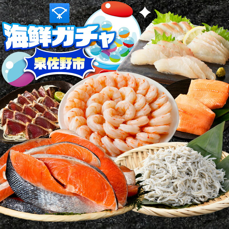 【ふるさと納税】期間限定 海鮮 ガチャ 1万円 魚介類 ブラックタイガー 銀鮭切り身 トロ鰹たたき 国産サーモン 国産真鯛 釜揚げしらす 運試し 新鮮 鮮魚 お取り寄せ 冷凍 グルメ 人気 おすすめ 限定 大阪府 泉佐野市 送料無料