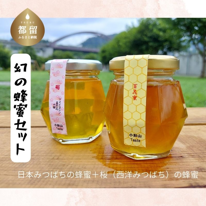 【ふるさと納税】幻のはちみつ　2種セット
