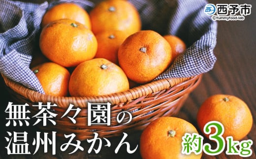 ＜無茶々園 温州みかん 約3kg＞ 果物 くだもの ミカン 蜜柑 柑橘 フルーツ うんしゅうみかん 選べる内容量 贈り物 ギフト おいしい 期間限定 季節限定 食べて応援 特産品 愛媛県 西予市 【常温】