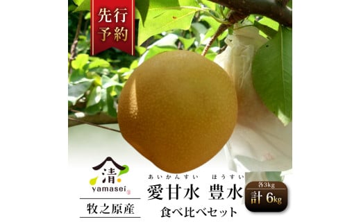 梨 豊水 愛甘水 各 3kg 令和7年度産 食べ比べ 先行受付 7月中旬 より 順次発送  数量限定 フルーツ なし ほうすい あいかんすい 果物 お中元 贈答用 プレゼント 箱入り おいしい 国産 山清 yamasei 静岡県 牧之原市