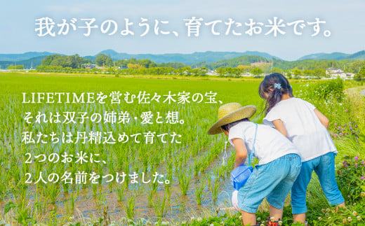 【 先行予約 】ササシグレ 玄米 5kg 新米 米 お米 節減対象農
