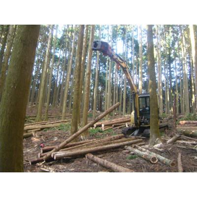 ふるさと納税 山北町 あしがらの薪(スギ、ヒノキ) |  | 03
