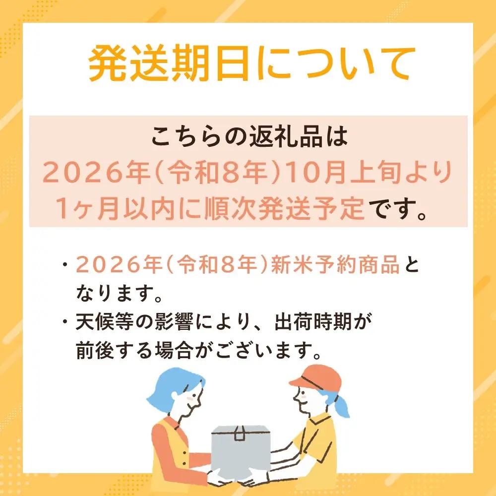 【令和８年新米予約】定期便全12回【南魚沼市食味コンテスト優秀賞】南魚沼産コシヒカリ 白米10kg(5kg×2) ｜薬師米 ｜コシヒカリ