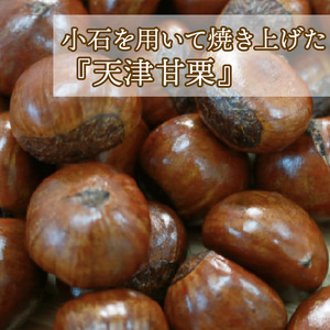 【 甘栗 】 京都八幡の天津甘栗 1.5kg 完熟 殻付き おやつ おつまみ